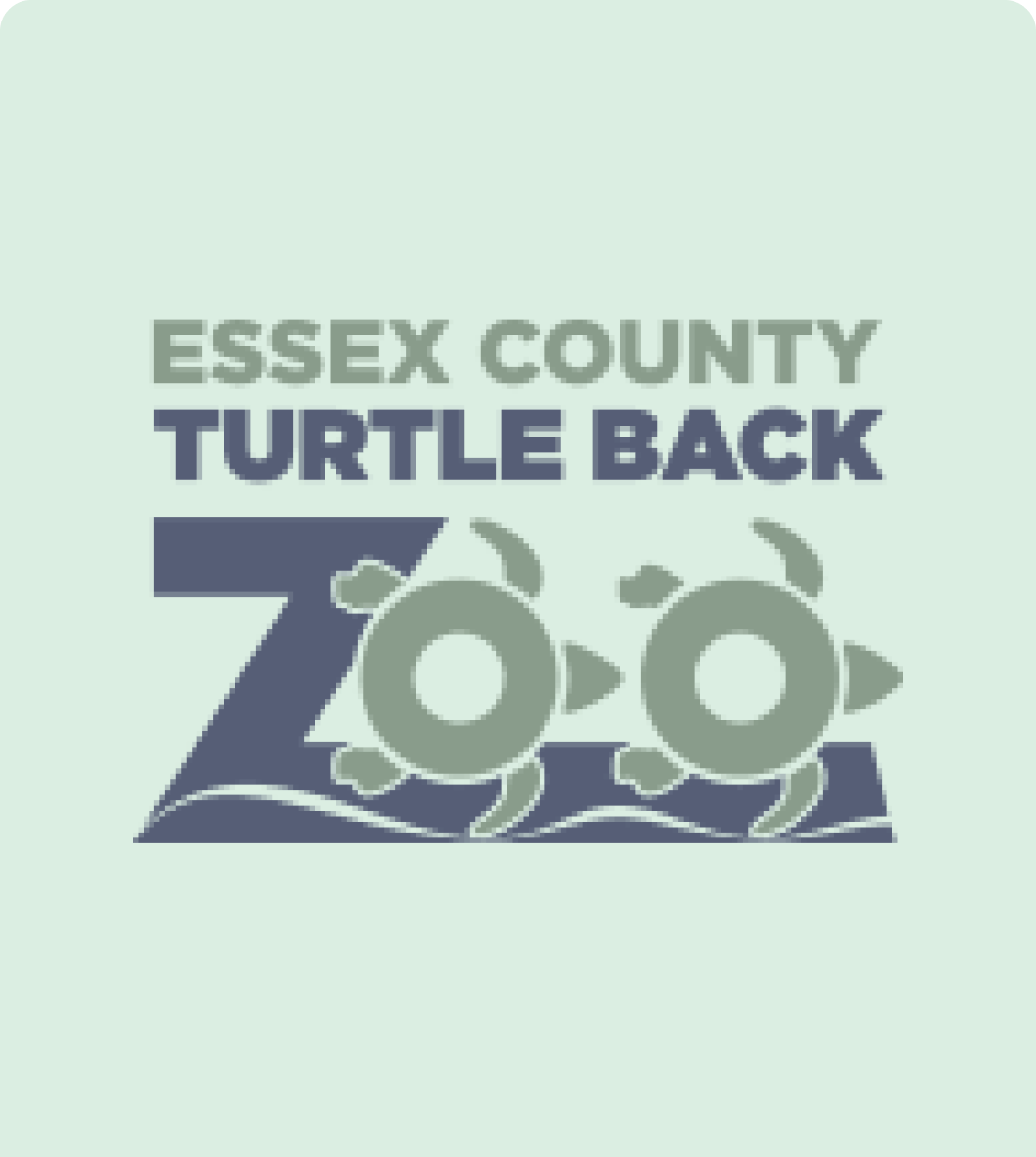 CLOSED | HOLIDAY LIGHTS