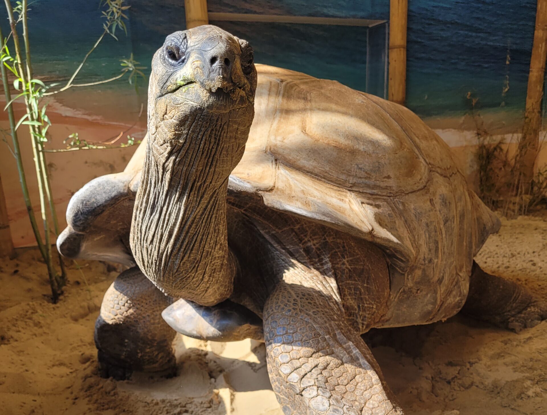 Behind the Scenes at the Animal Wellness Center