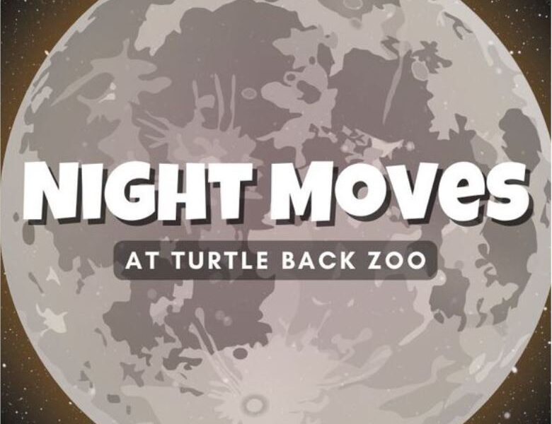 Night Moves