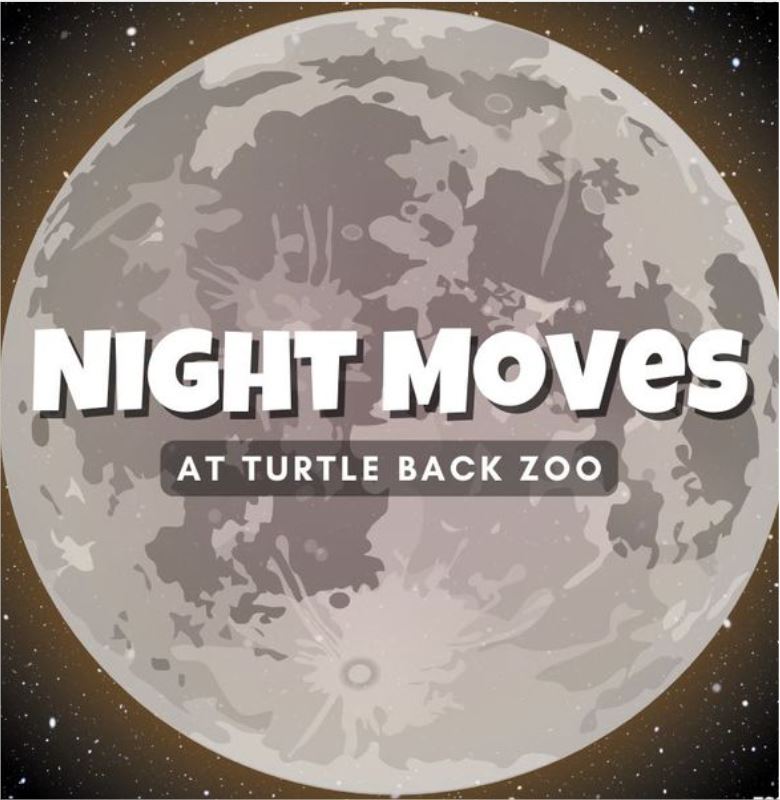 Night Moves
