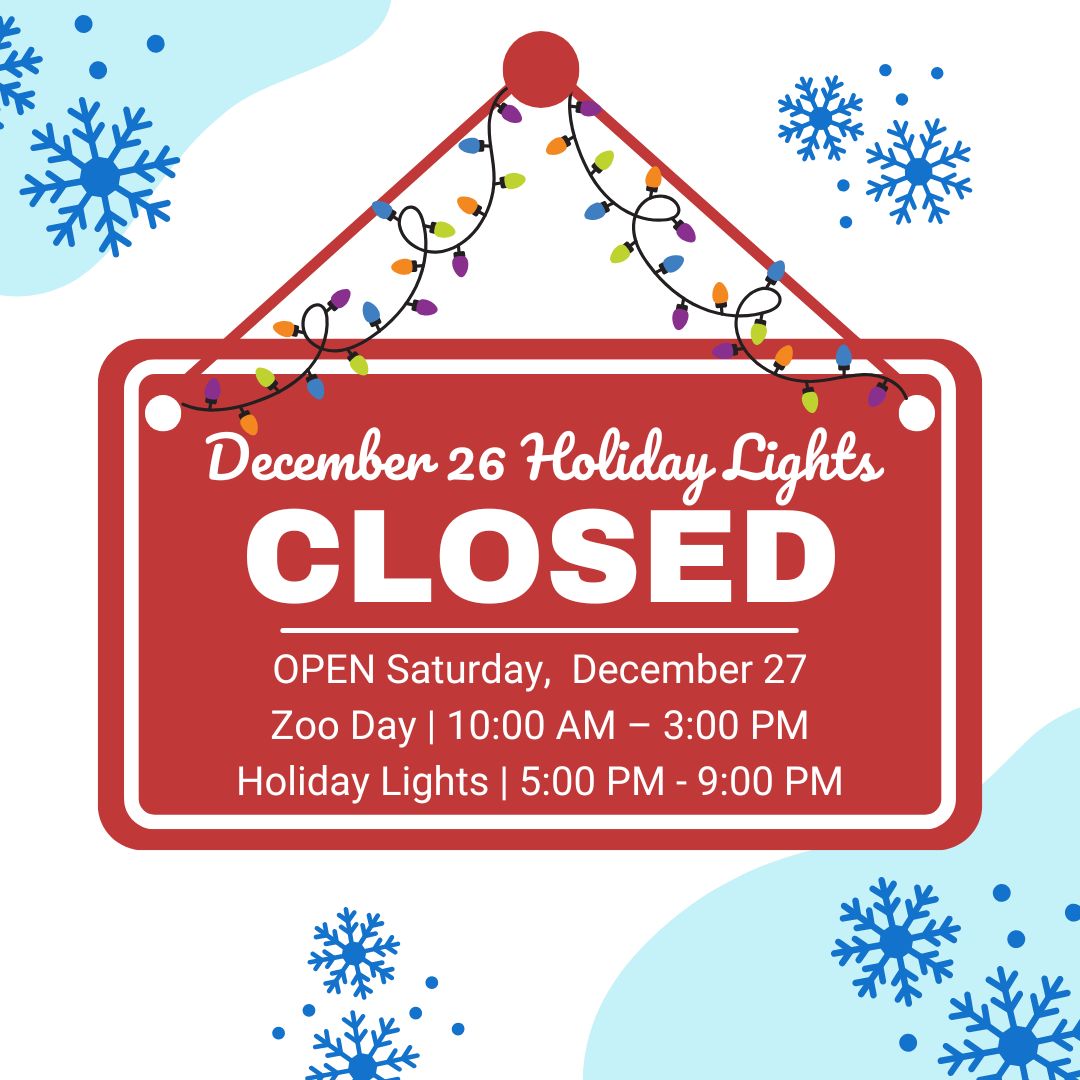 CLOSED | HOLIDAY LIGHTS