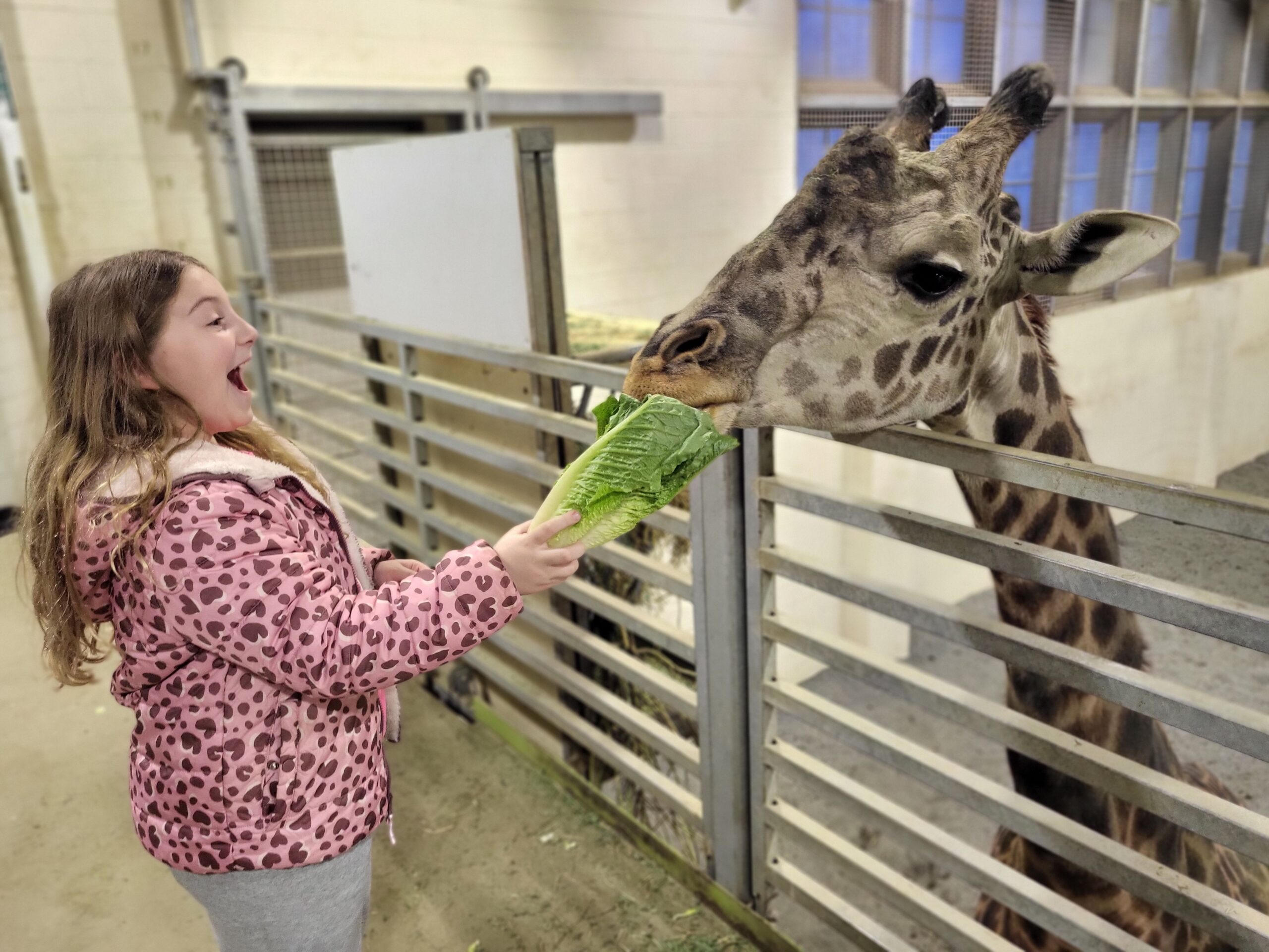 Spring Break Behind-the-Scenes