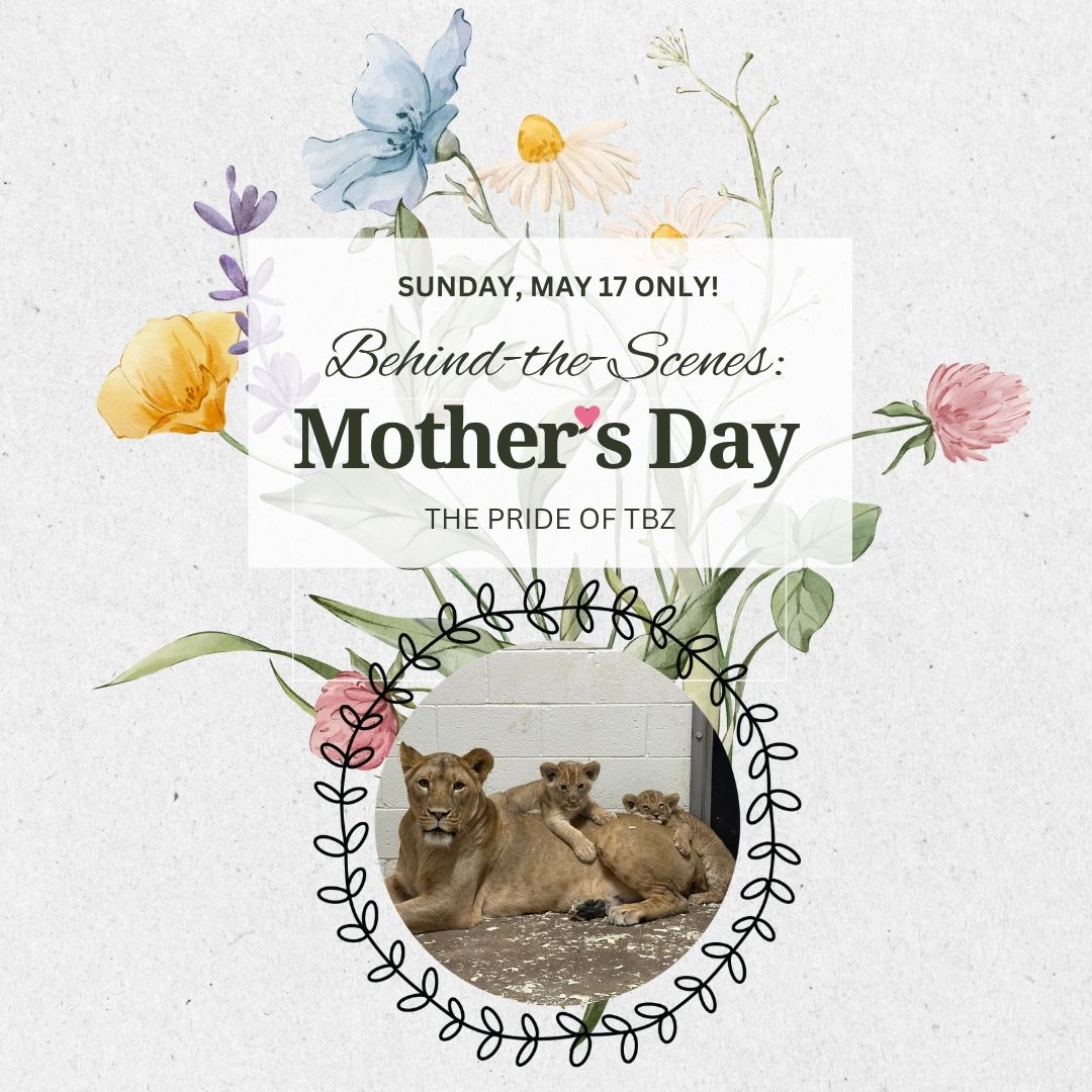 🐾 Mother’s Day Behind-the-Scenes: The Pride of TBZ