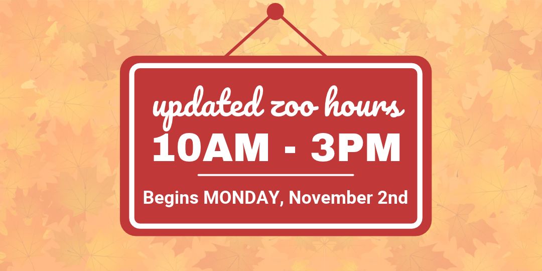 UPDATED ZOO HOURS