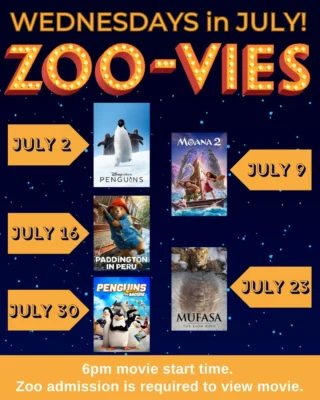 🎥Zoo Movie Nights are back for the summer!
Catch a movie in the zoo Wednesday nights in July. Zoo admission is required to view movie. Films begin at 6pm in the Zoo Picnic Area. 
🎬2025 lineup:
July 2 | Disney Nature Penguins
July 9 | Moana 2
July 16 | Paddington in Peru
July 23 | Mufasa
July 30 | Penguins of Madagascar
🎉Zoo-vies are part of Family Fun Nights, featuring extended zoo hours Wednesdays & Thursdays till 7pm (off grounds by 8pm) in July & August. All Zoo Admission Tickets are $12 per person between 4pm - 7pm.