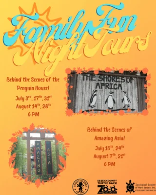 Add to the Summer Fun with a 👀Behind the Scenes Tour during Thursday Family Fun Nights. Two options of Penguin House or Amazing Asia. Tours start at 6pm and include zoo admission. Learn more and purchase tickets at Link in Bio.

🐧Penguin House
July 3rd, 17th, 31st
August 14th, 28th

⛩Amazing Asia
July 10th, 24th
August 7th, 21st