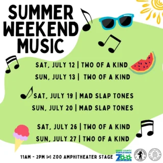 Planning a weekend visit? 🎼Make sure to catch our Summer Music Stage on Saturdays & Sundays from 11am - 2pm at the Zoo Amphitheater for some live music! Grab a snack and take a break from your zoo trip under the shaded lawn to catch a song or two or twelve! Included with Zoo Admission.