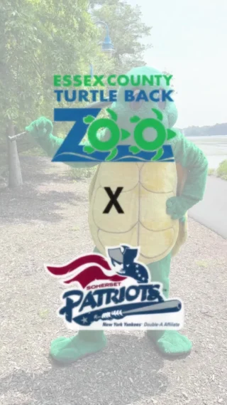⚾ Take your summer to the next level with a night at the ballpark!
We’ve teamed up with the Somerset Patriots to bring you exclusive discounts on select home games—plus all the ballpark fun you love. 🍿🎶

Catch the action and make memories with:
🔥 Fireworks Night – July 12 at 7:05PM
🏃‍♂️ Kids Run the Bases – August 3 at 5:05PM

🎟️ The first game is this weekend and tickets are limited—grab yours today!
👉 Link in our bio!

Let the summer fun begin! 💥🎉